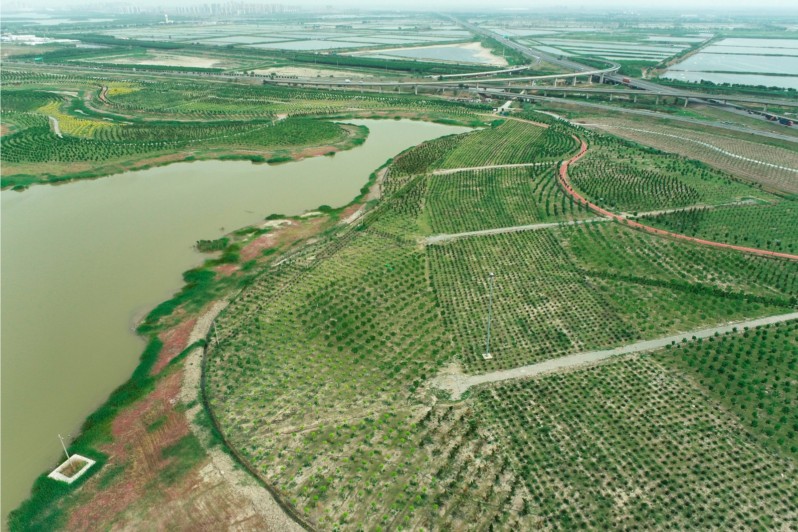 治理后02.jpg 2135bf5d7e062216446cfed587c5e4fb.jpg